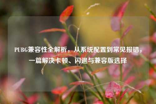 PUBG兼容性全解析，从系统配置到常见报错，一篇解决卡顿、闪退与兼容版选择