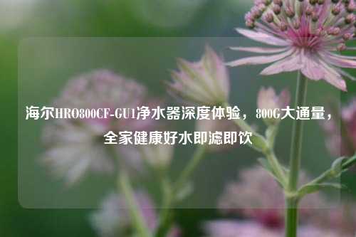 海尔HRO800CF-GU1净水器深度体验,800G大通量,全家健康好水即滤即饮