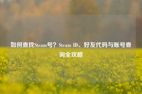 如何查找Steam号？Steam ID、好友代码与账号查询全攻略