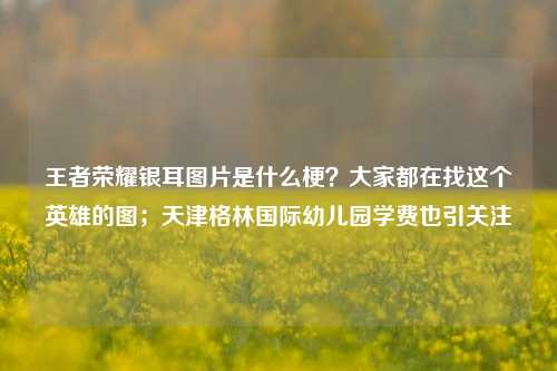 王者荣耀银耳图片是什么梗?大家都在找这个英雄的图;天津格林国际幼儿园学费也引关注