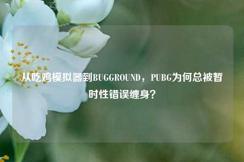 从吃鸡模拟器到BUGGROUND，PUBG为何总被暂时性错误缠身？