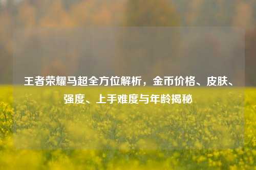 王者荣耀马超全方位解析，金币价格、皮肤、强度、上手难度与年龄揭秘