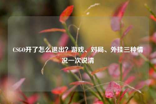 CSGO开了怎么退出？游戏、对局、外挂三种情况一次说清