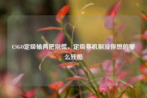 CSGO定级输两把别慌,定级赛机制没你想的那么残酷