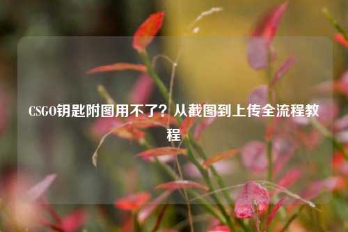 CSGO钥匙附图用不了?从截图到上传全流程教程