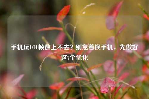 手机玩LOL帧数上不去?别急着换手机,先做好这7个优化