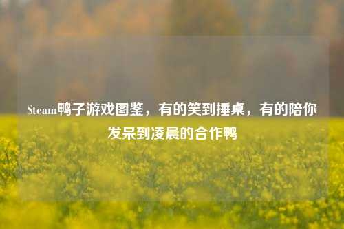 Steam鸭子游戏图鉴，有的笑到捶桌，有的陪你发呆到凌晨的合作鸭