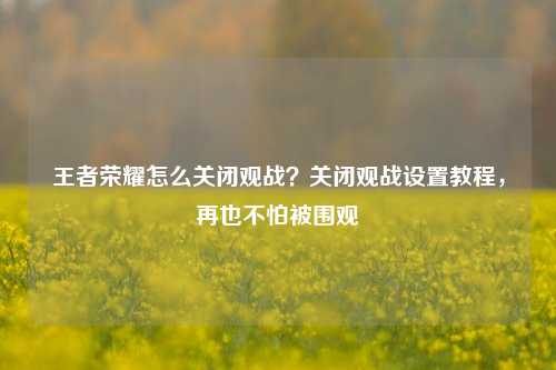 王者荣耀怎么关闭观战？关闭观战设置教程，再也不怕被围观