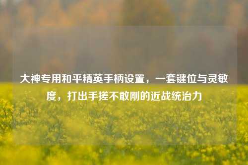 大神专用和平精英手柄设置，一套键位与灵敏度，打出手搓不敢刚的近战统治力