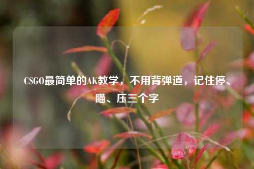 CSGO最简单的AK教学，不用背弹道，记住停、瞄、压三个字