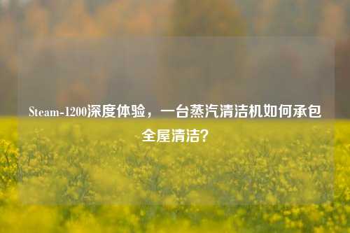 Steam-1200深度体验，一台蒸汽清洁机如何承包全屋清洁？