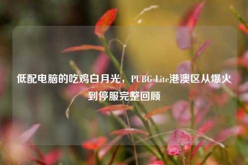 低配电脑的吃鸡白月光，PUBG Lite港澳区从爆火到停服完整回顾