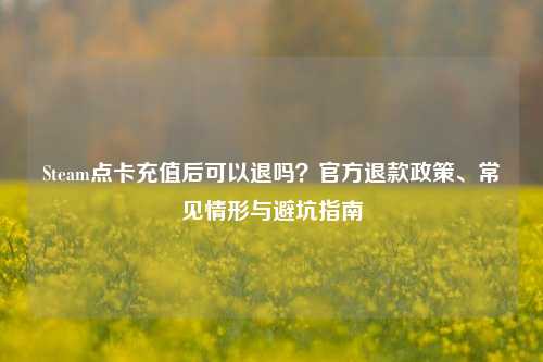 Steam点卡充值后可以退吗？官方退款政策、常见情形与避坑指南