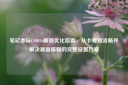 笔记本玩COD16画质优化指南，从卡顿到流畅并解决画面模糊的完整设置方案