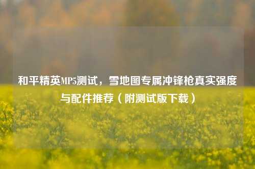 和平精英MP5测试，雪地图专属冲锋枪真实强度与配件推荐（附测试版下载）