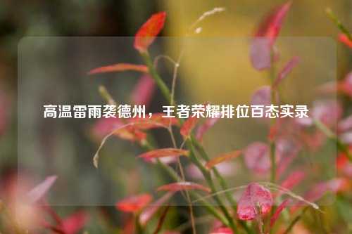 高温雷雨袭德州,王者荣耀排位百态实录