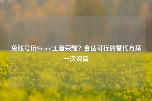 免账号玩Steam/王者荣耀？合法可行的替代方案一次说清