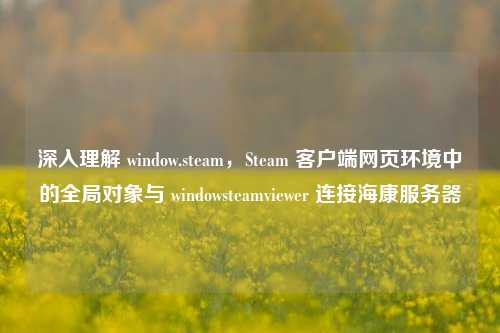深入理解 window.steam，Steam 客户端网页环境中的全局对象与 windowsteamviewer 连接海康服务器