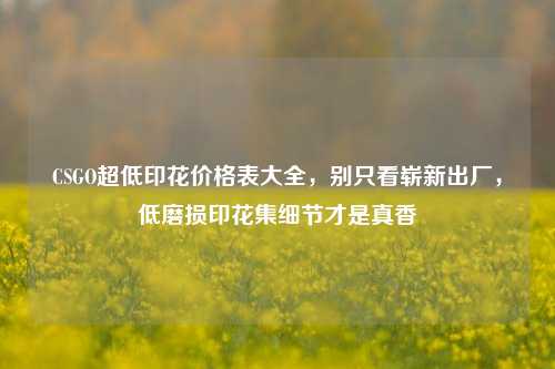 CSGO超低印花价格表大全，别只看崭新出厂，低磨损印花集细节才是真香