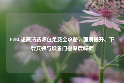 PUBG超高清资源包免费全攻略，画质提升、下载安装与设备门槛深度解析