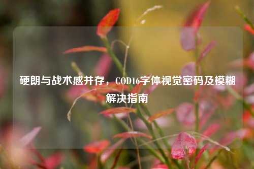 硬朗与战术感并存，COD16字体视觉密码及模糊解决指南