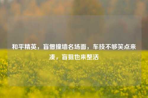 和平精英，盲僧撞墙名场面，车技不够笑点来凑，盲狙也来整活