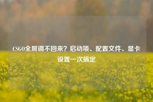 CSGO全屏调不回来？启动项、配置文件、显卡设置一次搞定