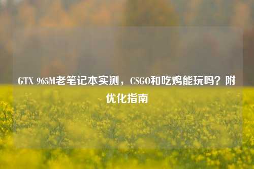 GTX 965M老笔记本实测，CSGO和吃鸡能玩吗？附优化指南