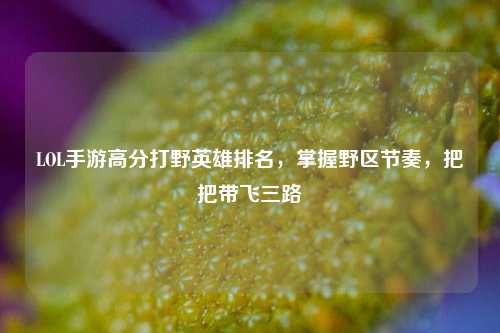 LOL手游高分打野英雄排名，掌握野区节奏，把把带飞三路