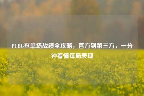 PUBG查单场战绩全攻略，官方到第三方，一分钟看懂每局表现