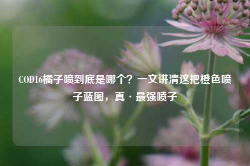 COD16橘子喷到底是哪个?一文讲清这把橙色喷子蓝图,真·最强喷子