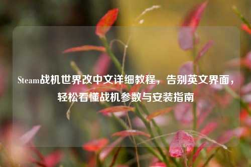 Steam战机世界改中文详细教程，告别英文界面，轻松看懂战机参数与安装指南