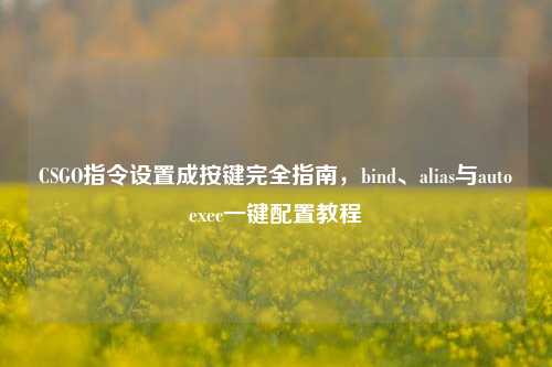 CSGO指令设置成按键完全指南，bind、alias与autoexec一键配置教程