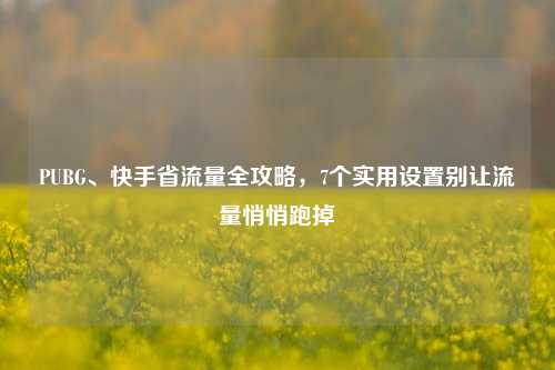 PUBG、快手省流量全攻略，7个实用设置别让流量悄悄跑掉