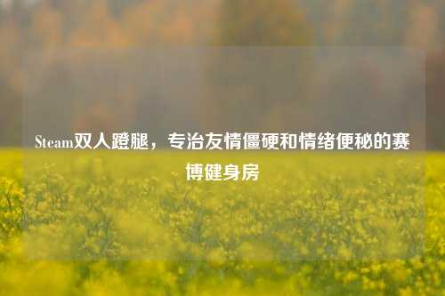 Steam双人蹬腿，专治友情僵硬和情绪便秘的赛博健身房