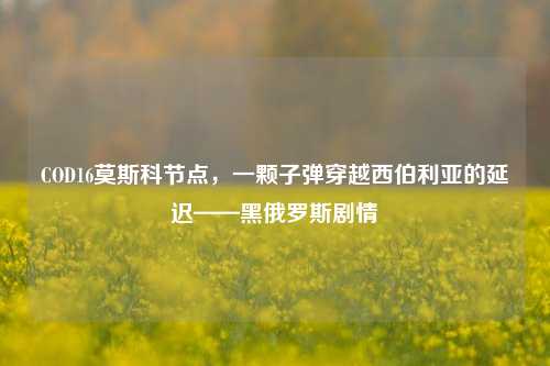COD16莫斯科节点，一颗子弹穿越西伯利亚的延迟——黑俄罗斯剧情