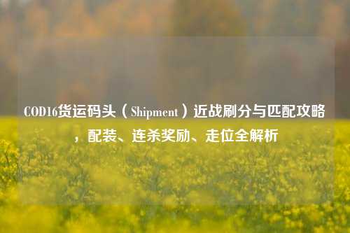 COD16货运码头（Shipment）近战刷分与匹配攻略，配装、连杀奖励、走位全解析