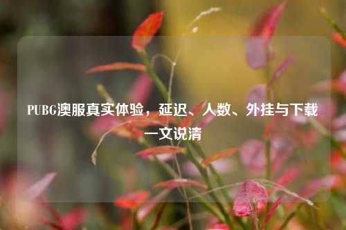 PUBG澳服真实体验，延迟、人数、外挂与下载一文说清