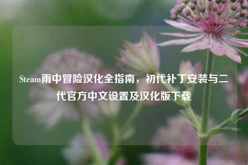 Steam雨中冒险汉化全指南，初代补丁安装与二代官方中文设置及汉化版下载