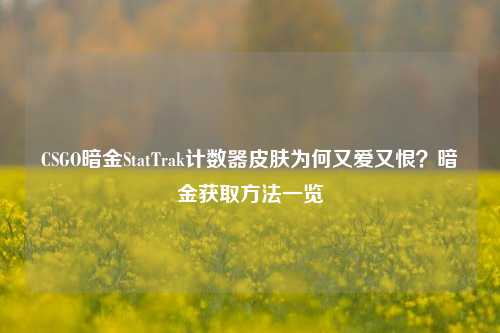 CSGO暗金StatTrak计数器皮肤为何又爱又恨？暗金获取方法一览