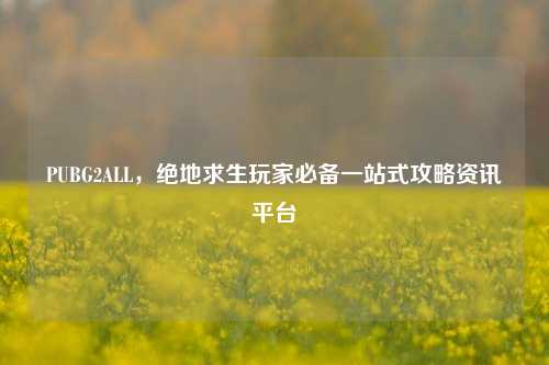 PUBG2ALL,绝地求生玩家必备一站式攻略资讯平台