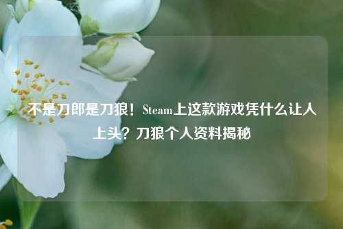 不是刀郎是刀狼!Steam上这款游戏凭什么让人上头?刀狼个人资料揭秘