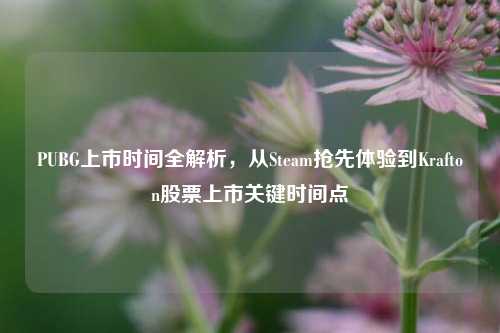 PUBG上市时间全解析，从Steam抢先体验到Krafton股票上市关键时间点