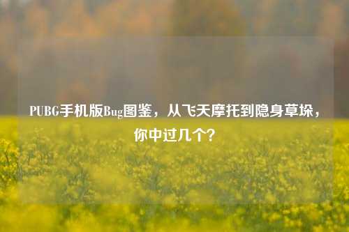 PUBG手机版Bug图鉴，从飞天摩托到隐身草垛，你中过几个？