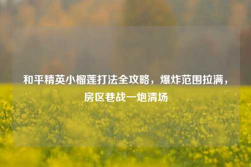 和平精英小榴莲打法全攻略，爆炸范围拉满，房区巷战一炮清场