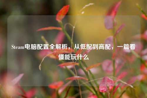 Steam电脑配置全解析，从低配到高配，一篇看懂能玩什么
