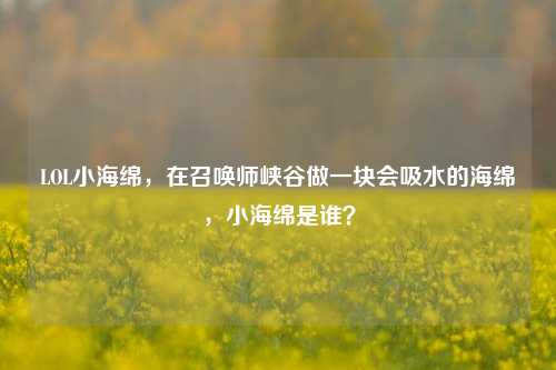 LOL小海绵，在召唤师峡谷做一块会吸水的海绵，小海绵是谁？