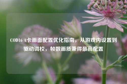 COD16 A卡画面配置优化指南，从游戏内设置到驱动调校，帧数画质兼得最高配置
