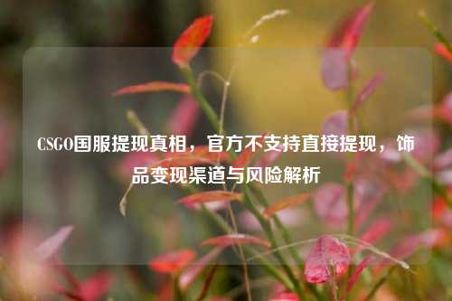 CSGO国服提现真相，官方不支持直接提现，饰品变现渠道与风险解析
