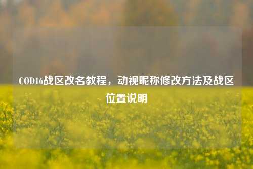 COD16战区改名教程，动视昵称修改方法及战区位置说明